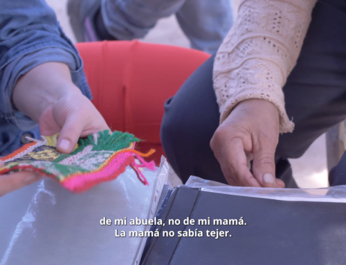 Textiles Semillas: Peregrinaje