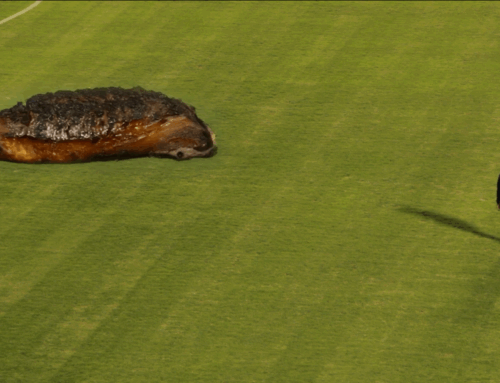 El Mago (AI Documentary)