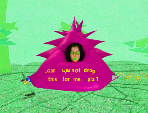 _can you not drop this for me, plz?